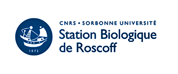 scienceinnov-projet-roscoff-benoit-tesson-innovation-science-conseil-consulting-recherche